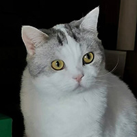 ���ֈF(tu��n)