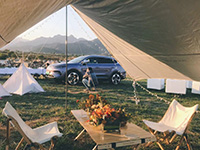 ��ֻ�ܹ���(y��ng)�