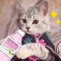 ˼˼������1̖(h��o)��