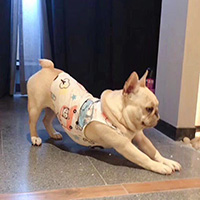 777���Դ�ُ(g��u)